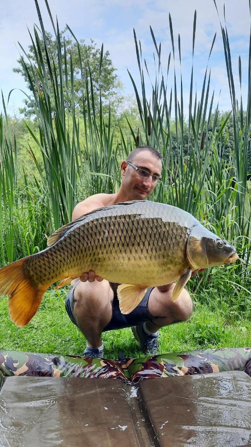 Les Etangs Du Moulin D'Harcy Bed & Breakfast Lonny Екстериор снимка